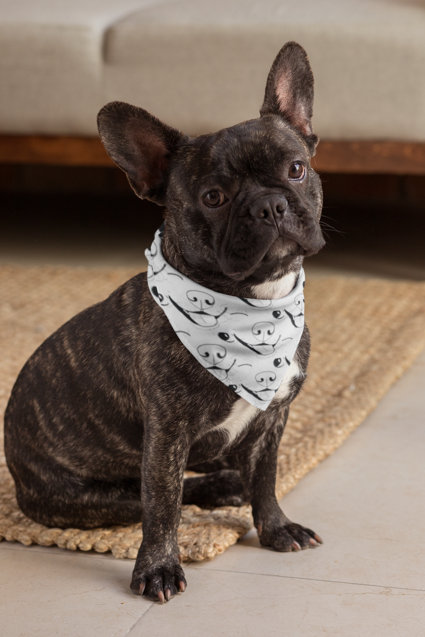 French Bulldog wearing Nico Inspired all-over print bandana around its neck